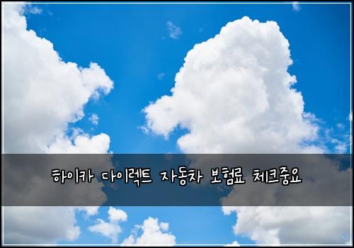 하이카 다이렉트 자동차 보험료 체크중요