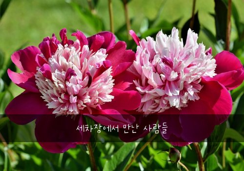 세차장에서 만난 사람들