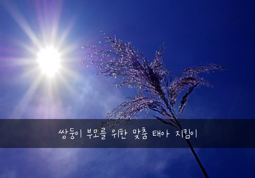 쌍둥이 부모를 위한 맞춤 태아 지킴이