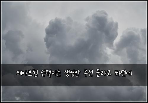 ํ์๋ณดํ ์ ํ์ง๋ ์๋ช
๋ง ์ฐ์ ๋ค๋ผ๊ณ ํ๋๋ฐ