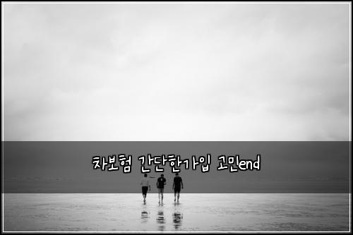 차보험 간단한가입  고민end