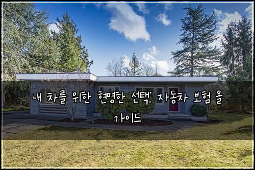  내 차를 위한 현명한 선택: 자동차 보험 올 가이드