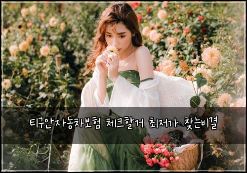 티구안자동차보험 체크할거  최저가 찾는비결