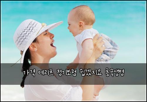 가격 메리츠 정기보험 쉽겠지요  흥국생명