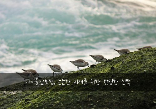 아이들암보험, 든든한 미래를 위한 현명한 선택