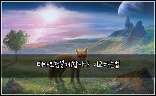 태아보험설계합니다 비교하는법