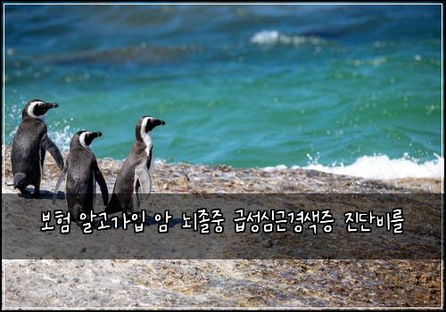 보험 알고가입  암 뇌졸중 급성심근경색증 진단비를
