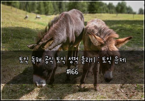 토익 독해 공식 토익 성적 올리기 : 토익 문제 #166