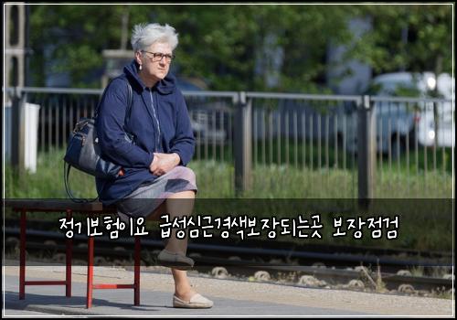 정기보험이요 급성심근경색보장되는곳 보장점검