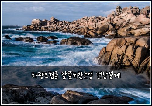 차량보험금 알뜰히찾는법 건강설계