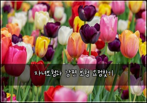 자녀보험과 남편 보험 요점찾기