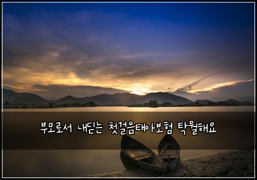 부모로서 내딛는 첫걸음태아보험 탁월해요 