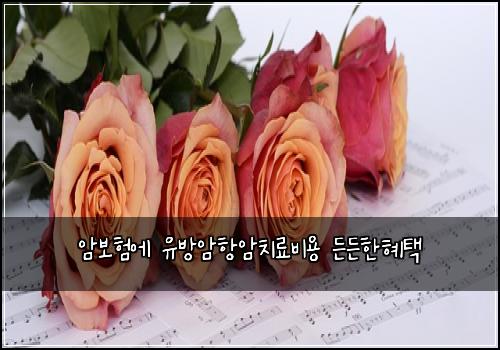 μ보νμ μ λ°©μνμμΉλ£λΉμ© λ λ ννν