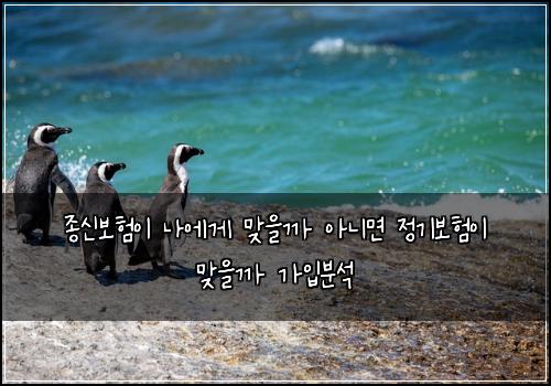 종신보험이 나에게 맞을까 아니면 정기보험이 맞을까 가입분석