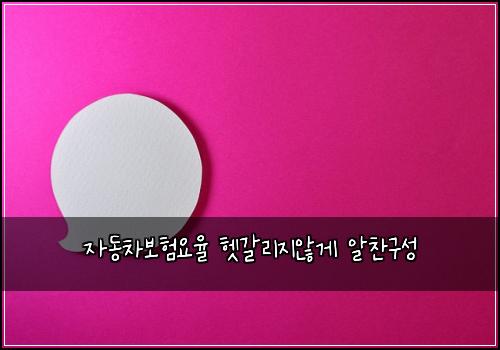 자동차보험요율 헷갈리지않게 알찬구성