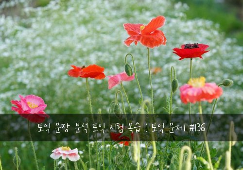 토익 문장 분석 토익 시험 복습 : 토익 문제 #136