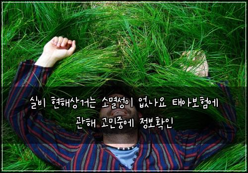 실비 현해상거는 소멸성이 없나요 태아보험에 관해 고민중에 정보확인