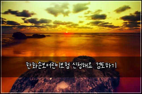 한화손보어린이보험 신청해요  검토하기