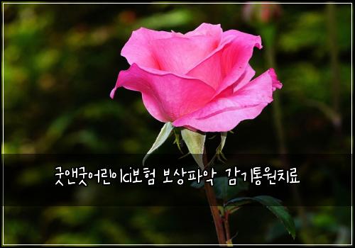๊ตฟ์ค๊ตฟ์ด๋ฆฐ์ดci๋ณดํ ๋ณด์ํ์
๊ฐ๊ธฐํต์์น๋ฃ