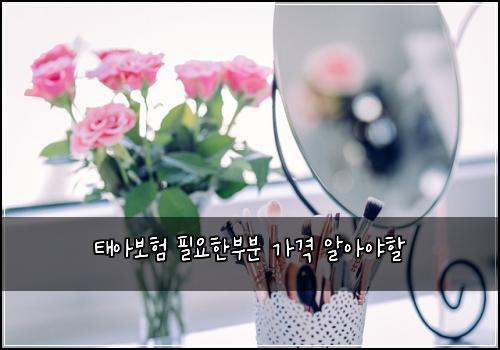 ํ์๋ณดํ ํ์ํ๋ถ๋ถ ๊ฐ๊ฒฉ ์์์ผํ