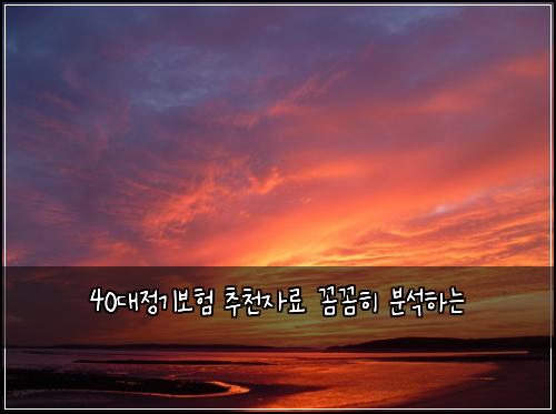40대정기보험 추천자료  꼼꼼히 분석하는