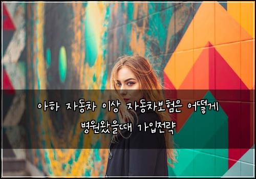 아하 자동차 이상 자동차보험은 어떻게 병원왔을때 가입전략