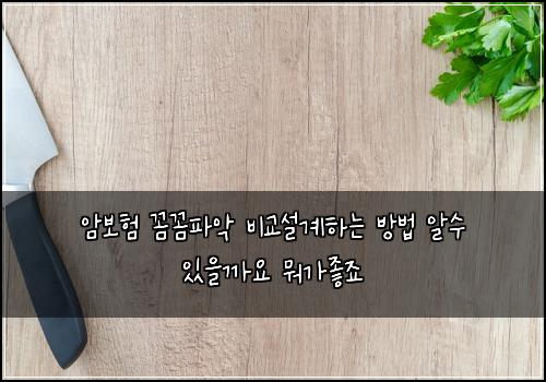 암보험 꼼꼼파악  비교설계하는 방법 알수 있을까요 뭐가좋죠