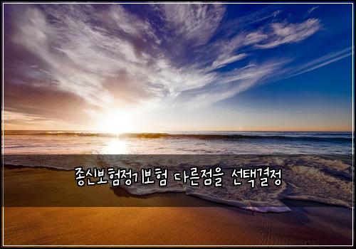 종신보험정기보험 다른점을 선택결정