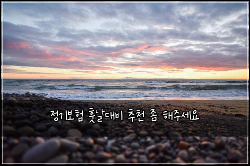 정기보험 훗날대비  추천 좀 해주세요