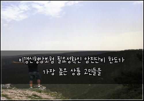 비갱신형암보험 필요성확인  암진단비 한도가 가장 높은 상품 고민들을