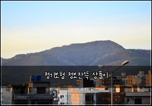 정기보험 정보잔뜩  상품이