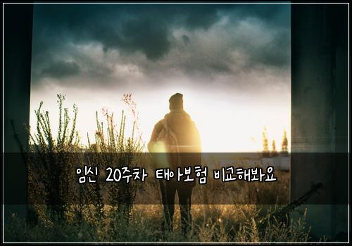 ์์ 20์ฃผ์ฐจ ํ์๋ณดํ ๋น๊ตํด๋ด์