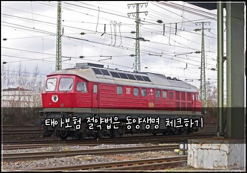 ํ์๋ณดํ ์ ์ฝ๋ฒ์ ๋์์๋ช
์ฒดํฌํ๊ธฐ