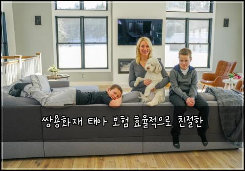 쌍용화재 태아 보험 효율적으로  친절한