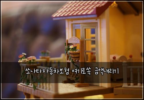 쏘나타자동차보험 여기로쏙  금액내리기