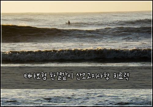 태아보험 한결같이  산모고지사항 치료력