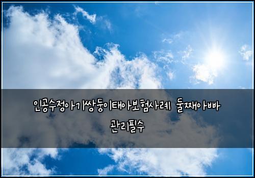 인공수정아기쌍둥이태아보험사례 둘째아빠 관리필수