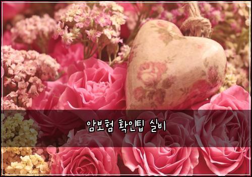 ์๋ณดํ ํ์ธํ ์ค๋น