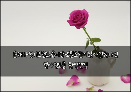 손해와정기보험있습니당또필요한이있다면뭐가잇 얼마정도를 완벽견적