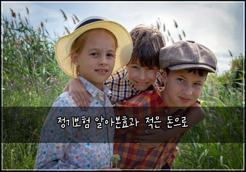 정기보험 알아본효과  적은 돈으로