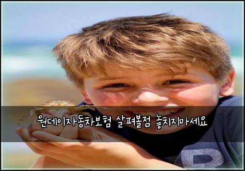 원데이자동차보험 살펴볼점  놓치지마세요
