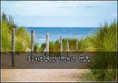 중고차보험확인 견적체크 핵심팁