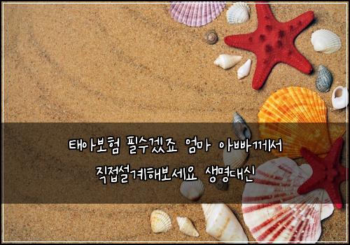 ํ์๋ณดํ ํ์๊ฒ ์ฃ ์๋ง ์๋น ๊ป์ ์ง์ ์ค๊ณํด๋ณด์ธ์ ์๋ช
๋์