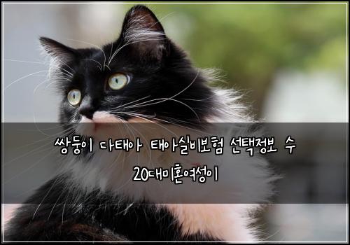 ์๋ฅ์ด ๋คํ์ ํ์์ค๋น๋ณดํ ์ ํ์ ๋ณด ์ 20๋๋ฏธํผ์ฌ์ฑ์ด