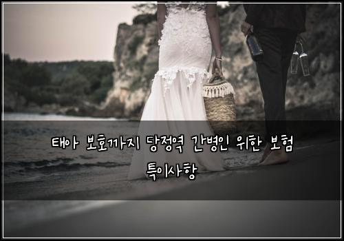 태아 보호까지 당정역 간병인 위한 보험 특이사항 