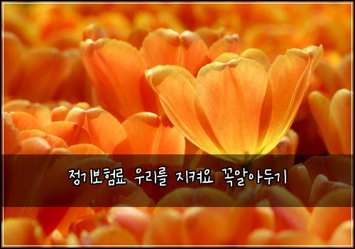 ์ ๊ธฐ๋ณดํ๋ฃ ์ฐ๋ฆฌ๋ฅผ ์ง์ผ์ ๊ผญ์์๋๊ธฐ