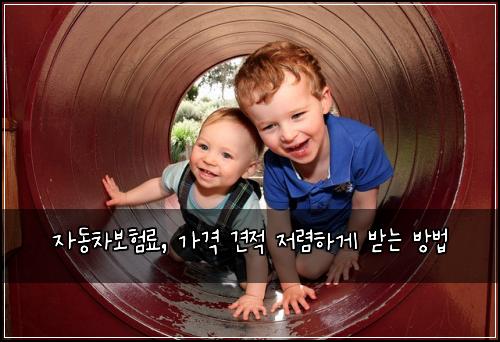 자동차보험료, 가격 견적 저렴하게 받는 방법