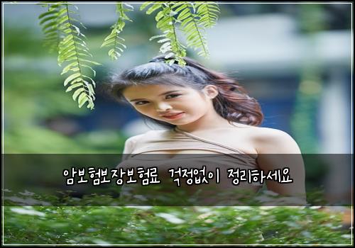 암보험보장보험료 걱정없이 정리하세요