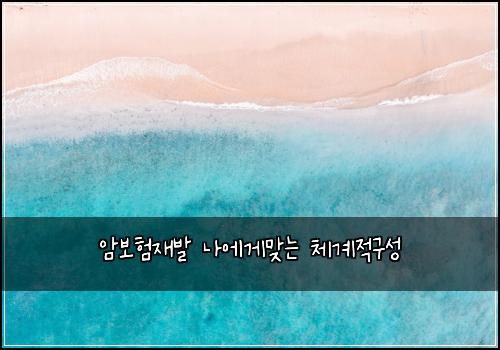 암보험재발 나에게맞는 체계적구성