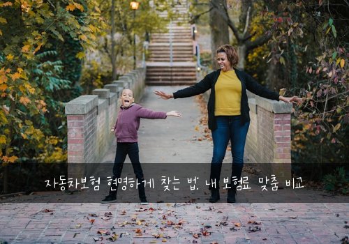 자동차보험 현명하게 찾는 법: 내 보험료 맞춤 비교